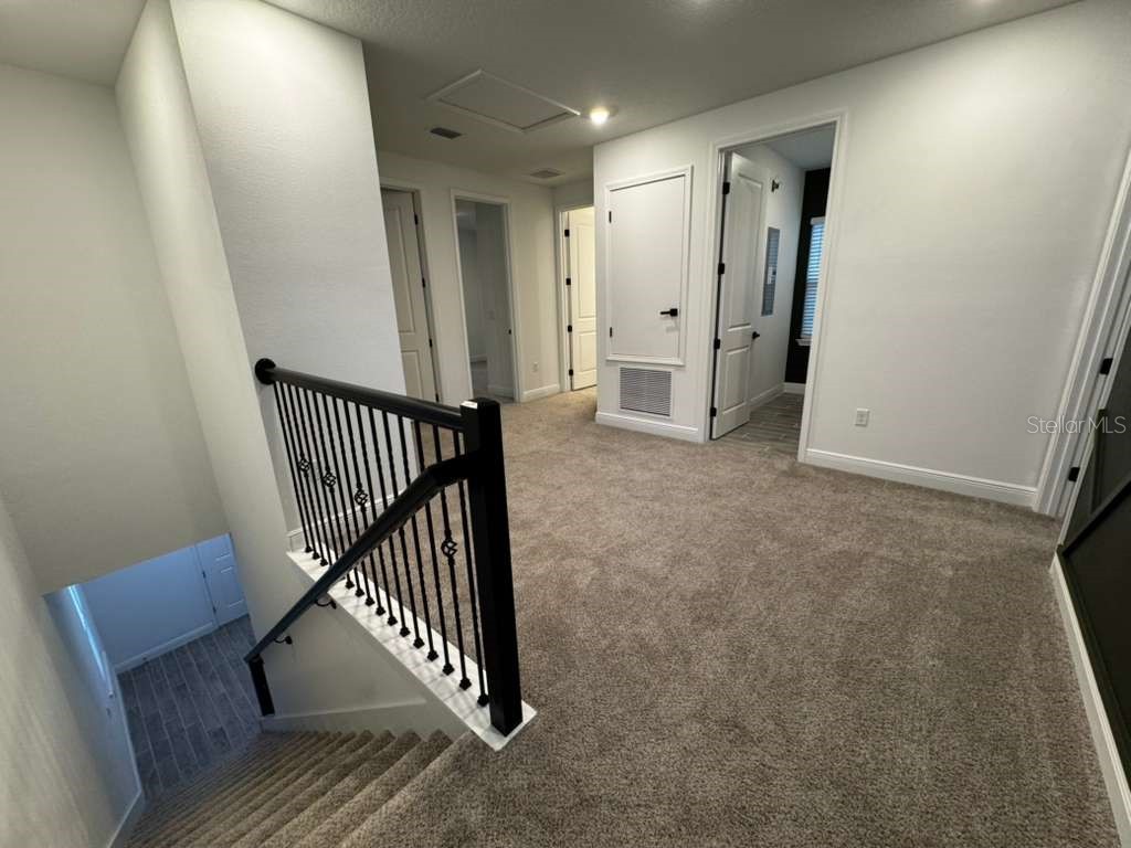 16763 Hamlin Vista Alley Winter Garden FL 34787 O6354681 image14