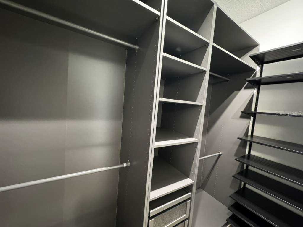 16763 Hamlin Vista Alley Winter Garden FL 34787 O6354681 image20