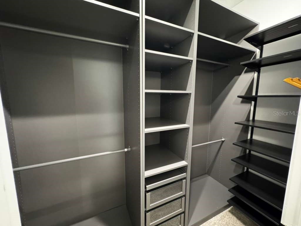 16763 Hamlin Vista Alley Winter Garden FL 34787 O6354681 image21