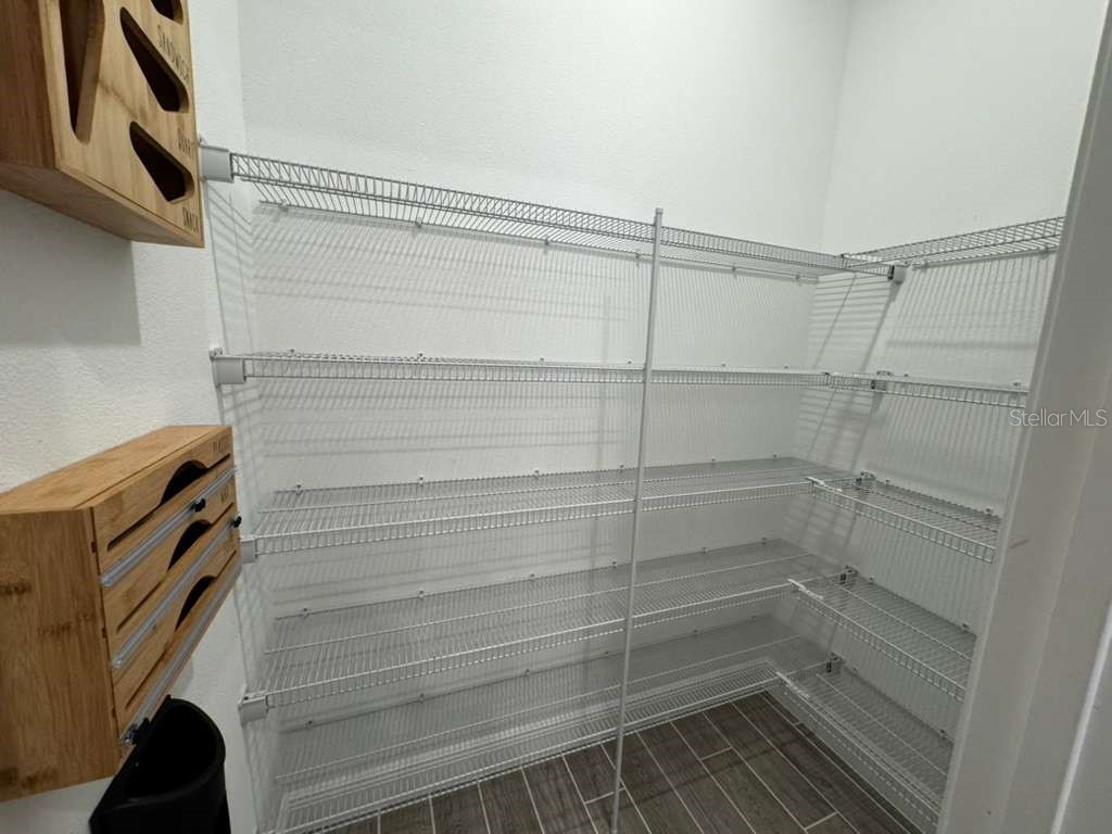 16763 Hamlin Vista Alley Winter Garden FL 34787 O6354681 image9