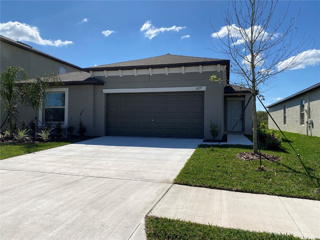 1677 Blue Rose Drive Ruskin FL 33570 T3353642 image1