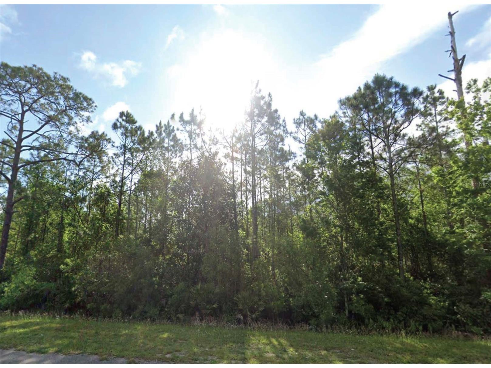 1677 S State Road 19 Palatka FL 32177 O6408338 image1