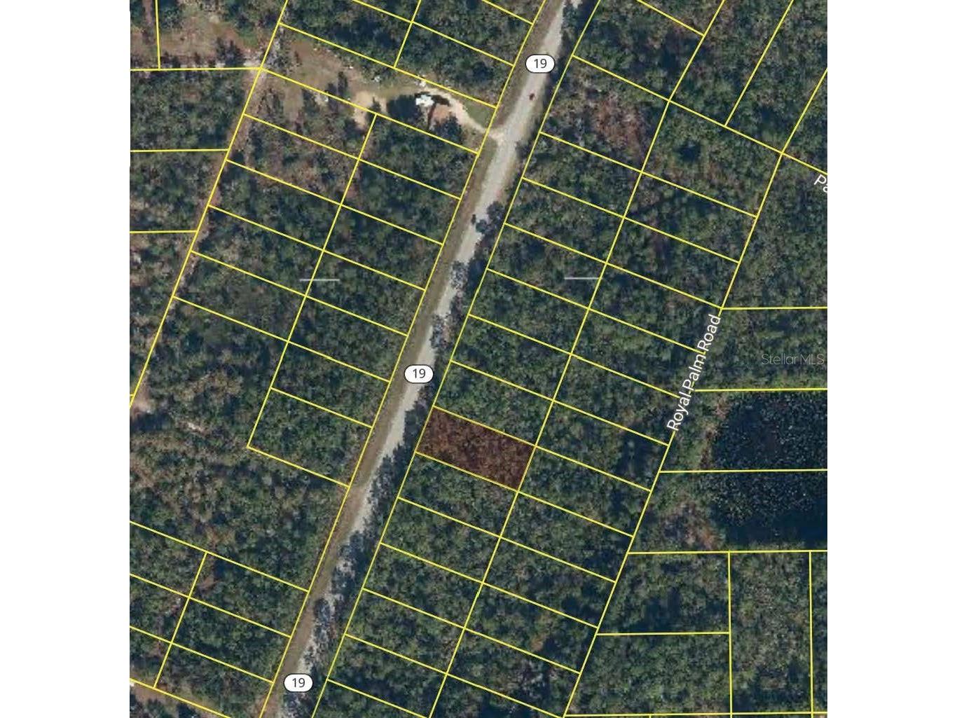 1677 S State Road 19 Palatka FL 32177 O6408338 image2