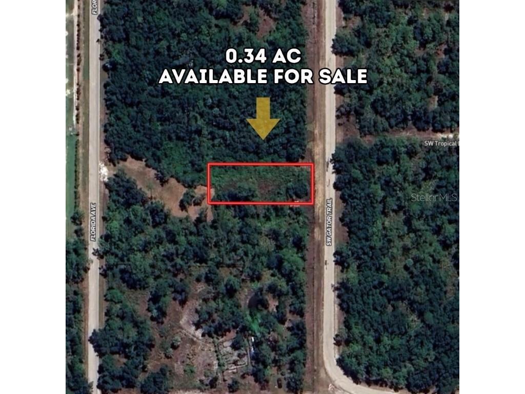 1677 SW Gator Trail Arcadia FL 34266 A4665732 image1