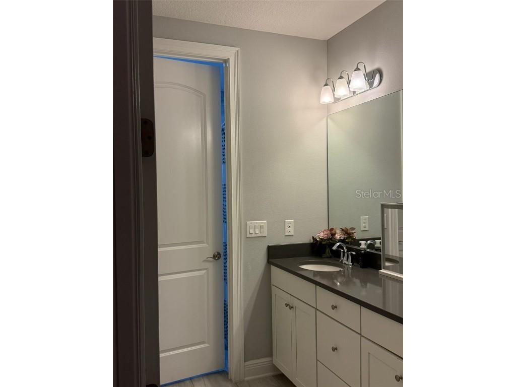 16771 Turtle Hatch Drive #D Winter Garden FL 34787 O6365612 image20