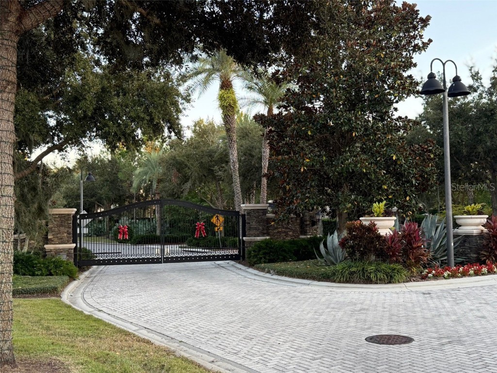 16771 Turtle Hatch Drive #D Winter Garden FL 34787 O6365612 image35