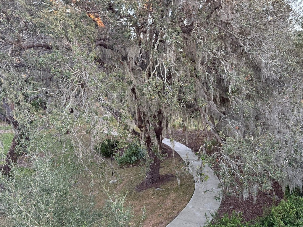 16771 Turtle Hatch Drive #D Winter Garden FL 34787 O6365612 image36