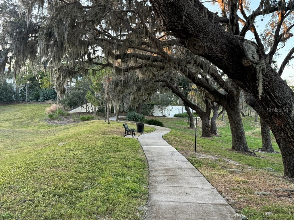 16771 Turtle Hatch Drive #D Winter Garden FL 34787 O6365612 image38