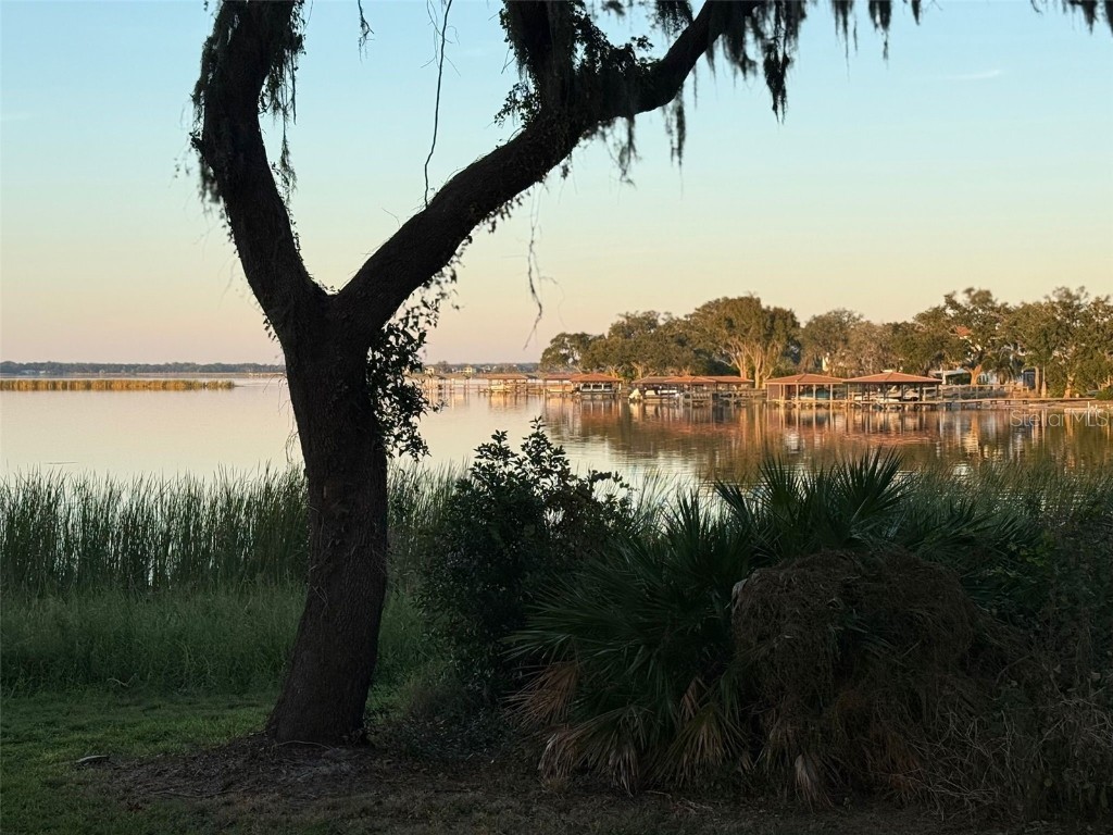 16771 Turtle Hatch Drive #D Winter Garden FL 34787 O6365612 image40