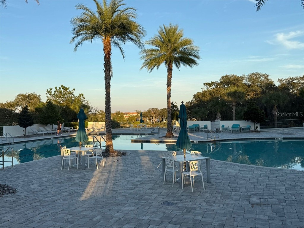 16771 Turtle Hatch Drive #D Winter Garden FL 34787 O6365612 image41