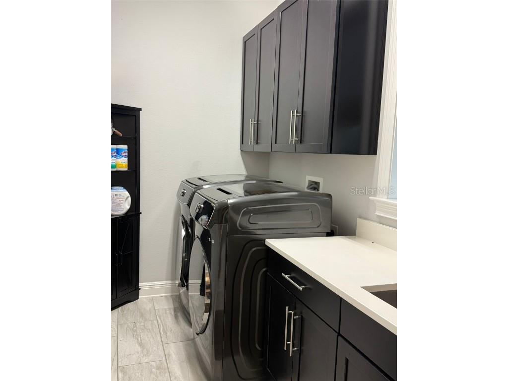 16771 Turtle Hatch Drive #D Winter Garden FL 34787 O6365612 image7