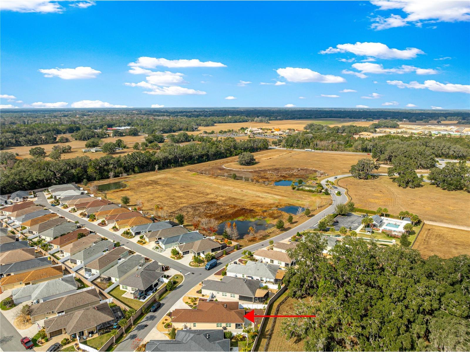 16777 SE 74 Soulliere Avenue The Villages FL 32162 OM716081 image65