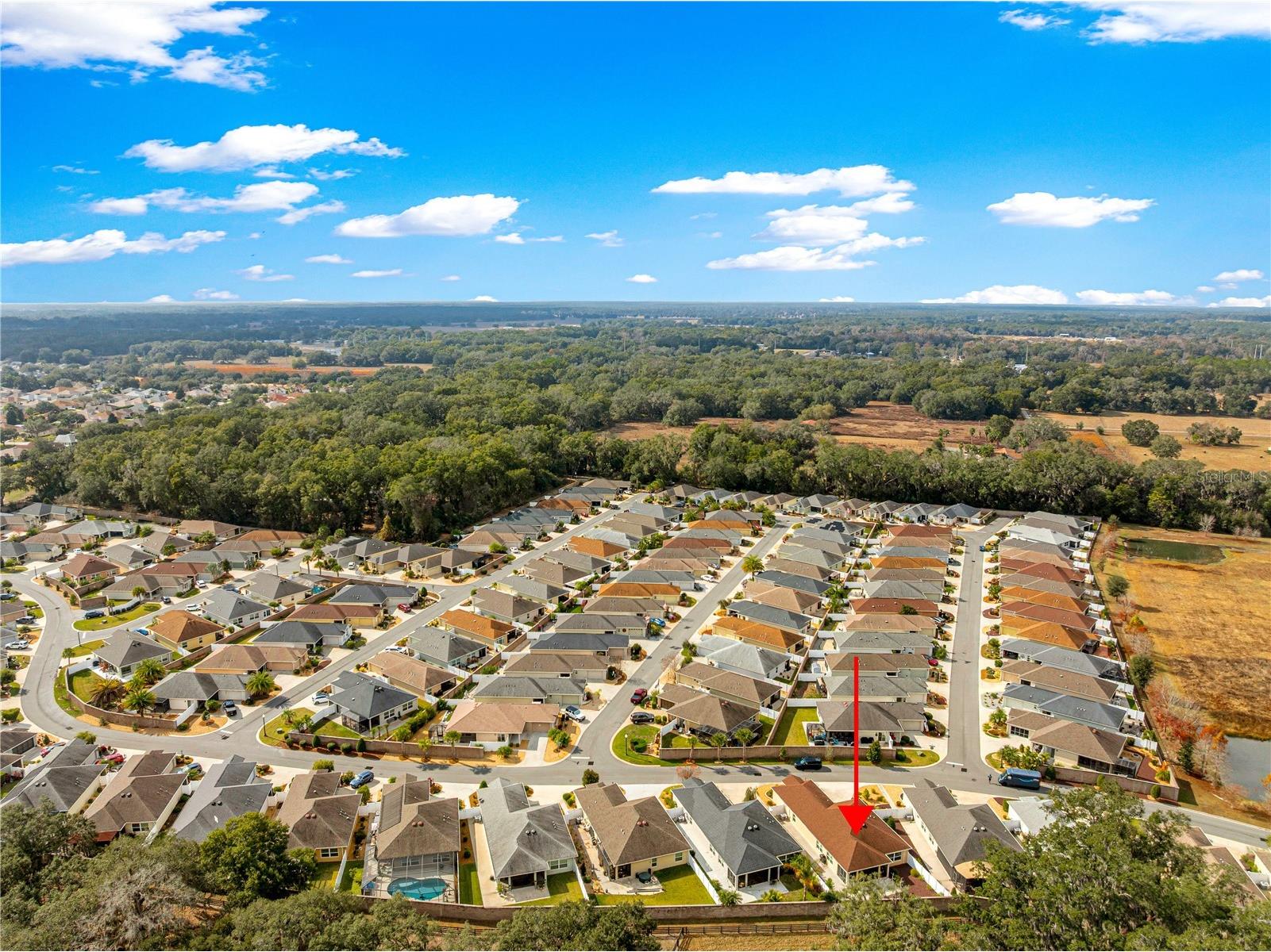 16777 SE 74 Soulliere Avenue The Villages FL 32162 OM716081 image66