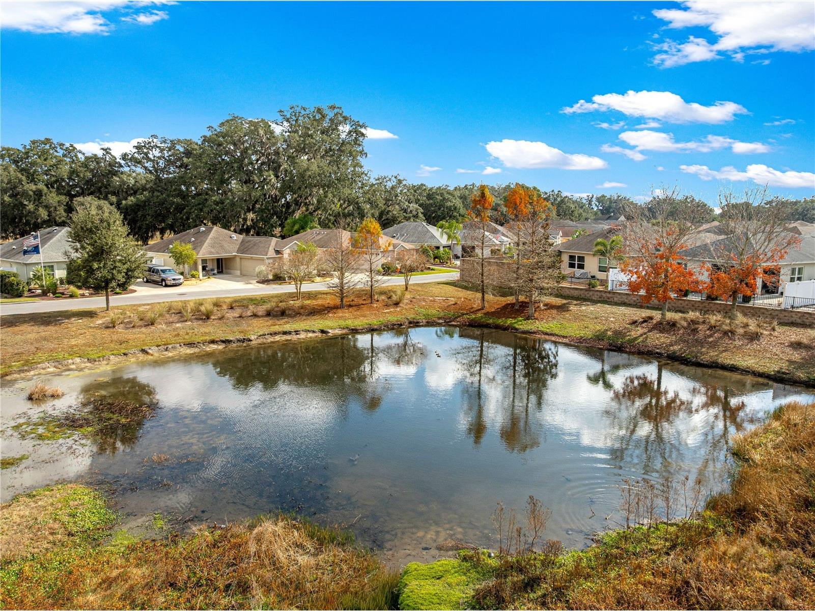 16777 SE 74 Soulliere Avenue The Villages FL 32162 OM716081 image69