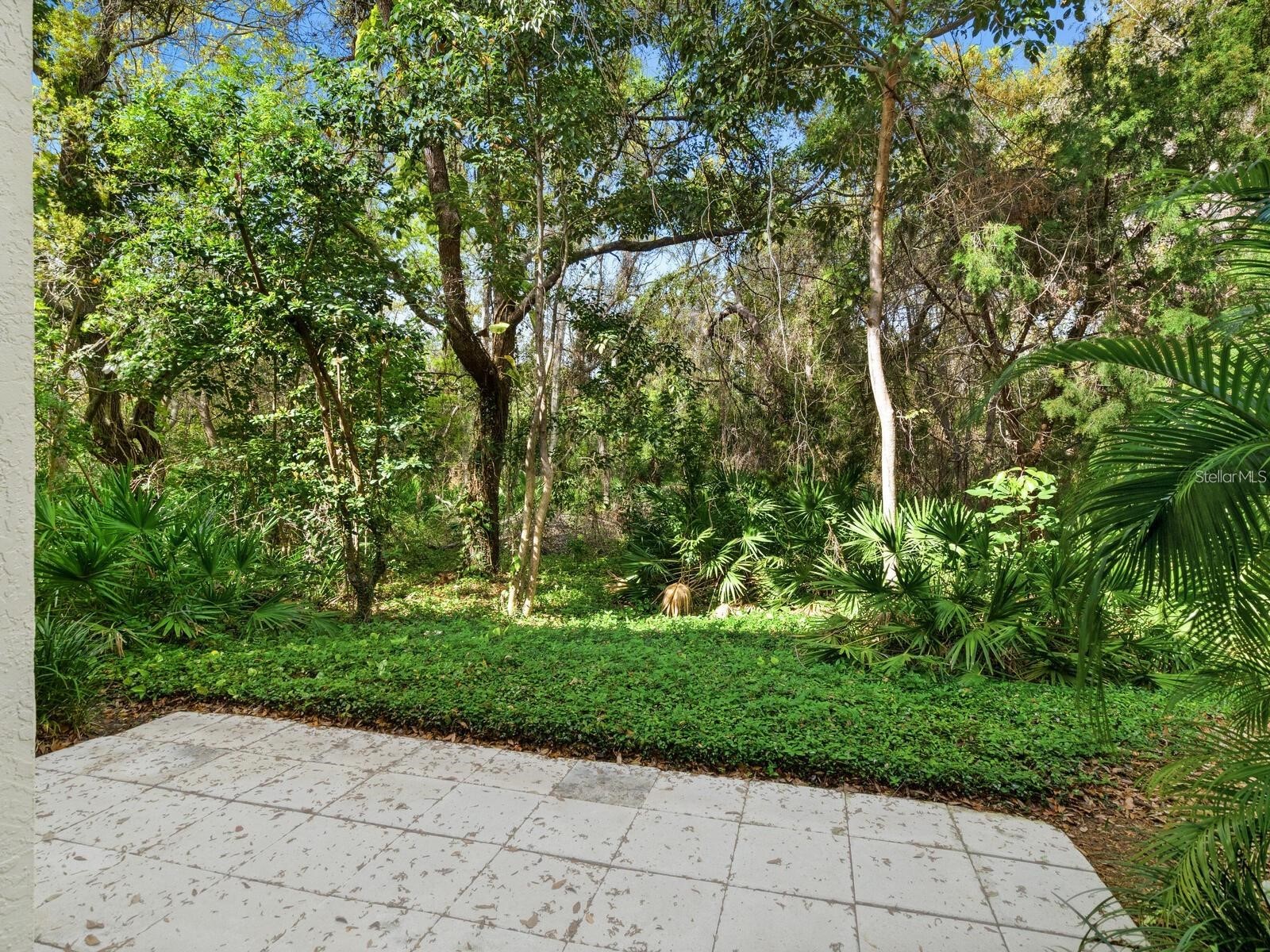 1678 Starling Drive #102 Sarasota FL 34231 A4678531 image28