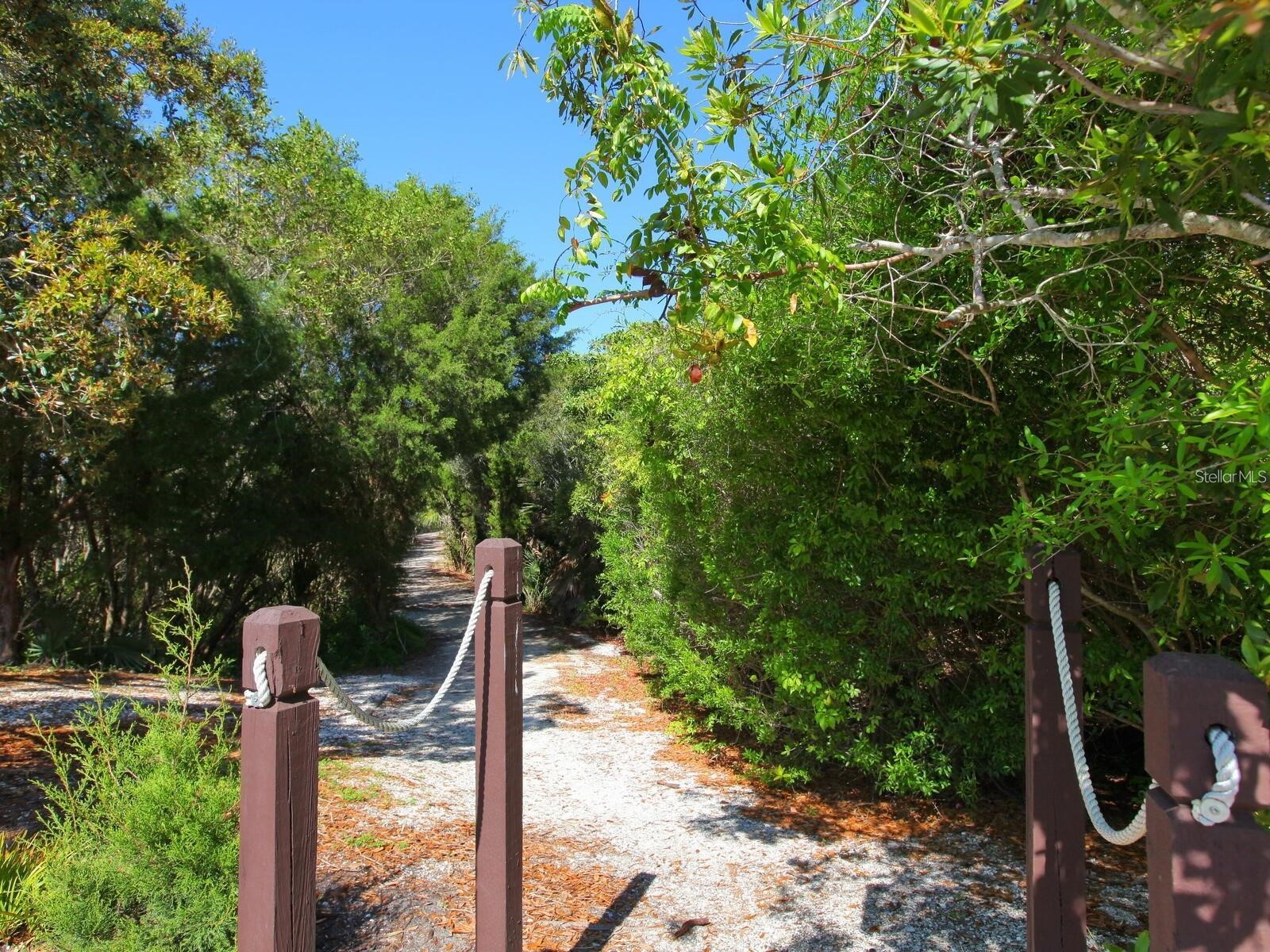1678 Starling Drive #102 Sarasota FL 34231 A4678531 image40