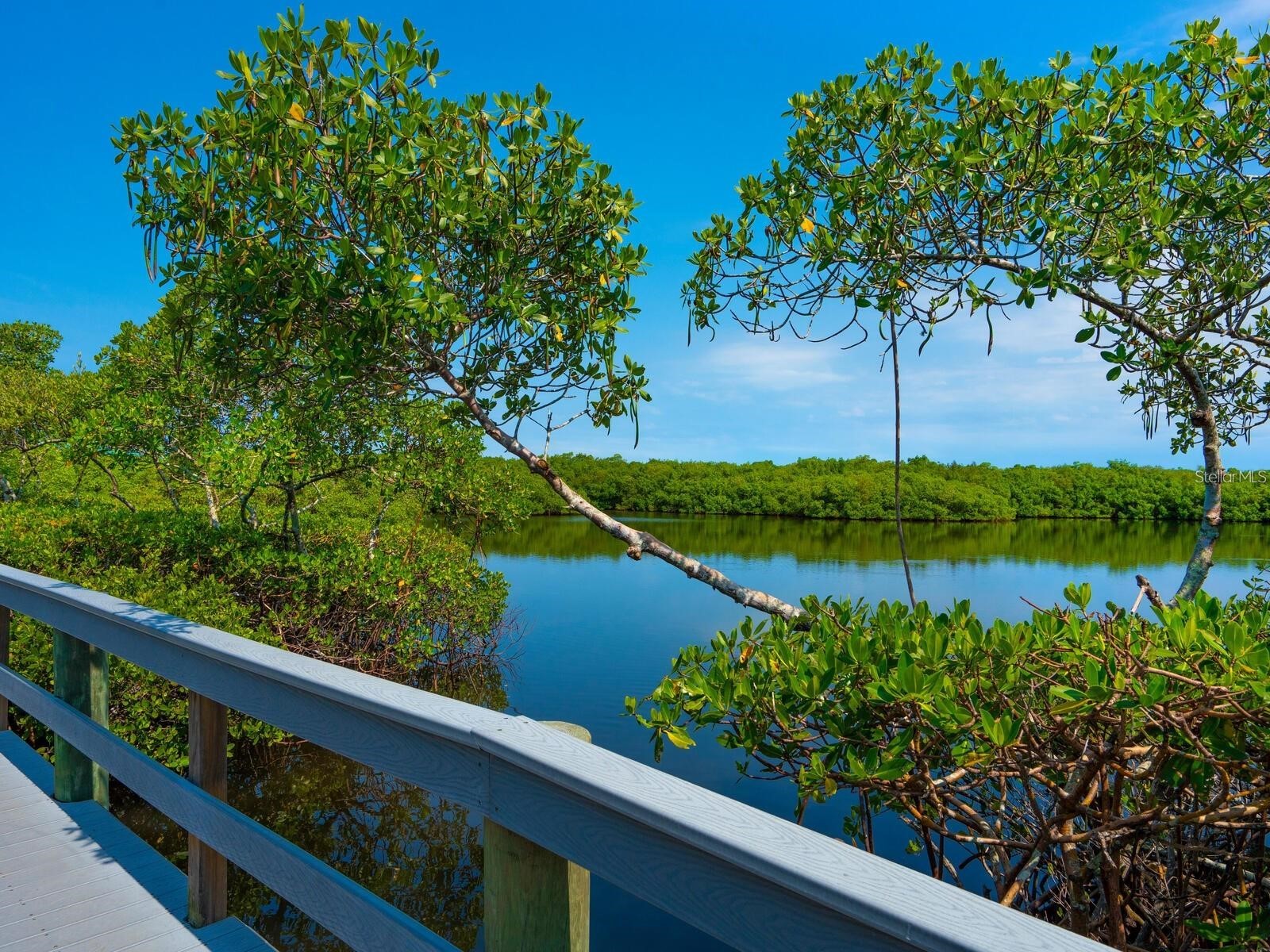 1678 Starling Drive #102 Sarasota FL 34231 A4678531 image41
