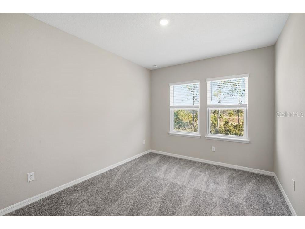 1678 Trailhead Lane Zephyrhills FL 33541 TB8401238 image12