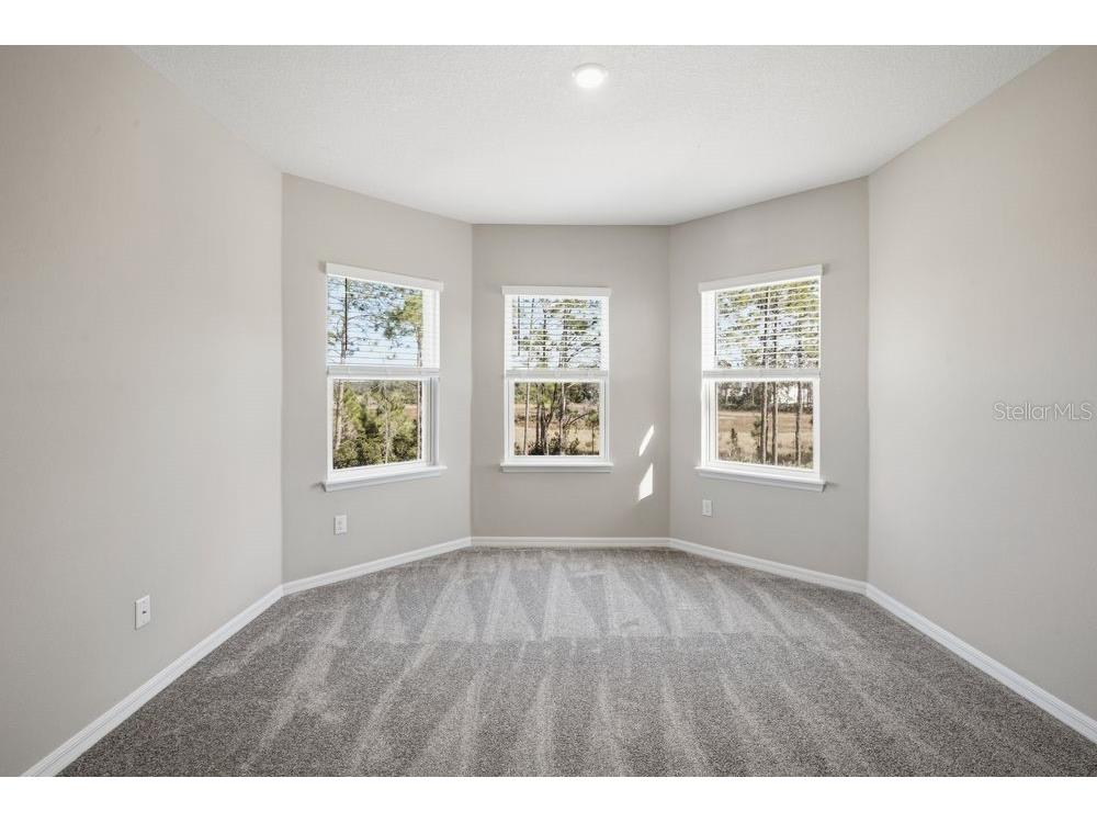 1678 Trailhead Lane Zephyrhills FL 33541 TB8401238 image13