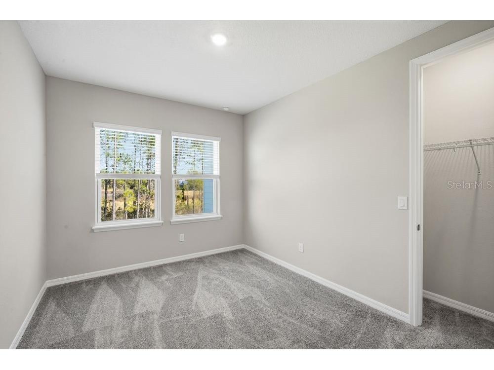 1678 Trailhead Lane Zephyrhills FL 33541 TB8529129 image16