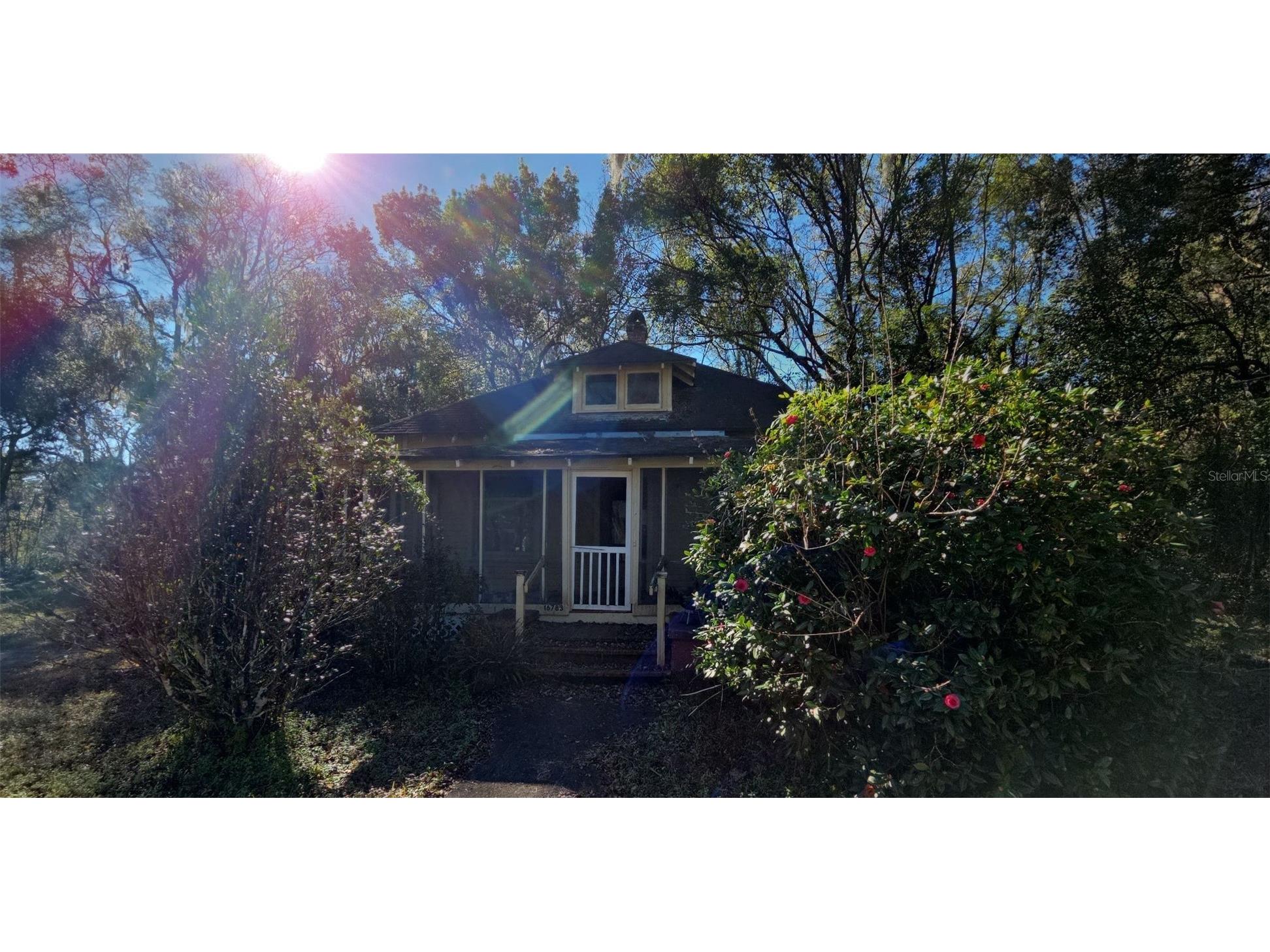 16783 SW 137th Avenue Archer FL 32618 O6379491 image1