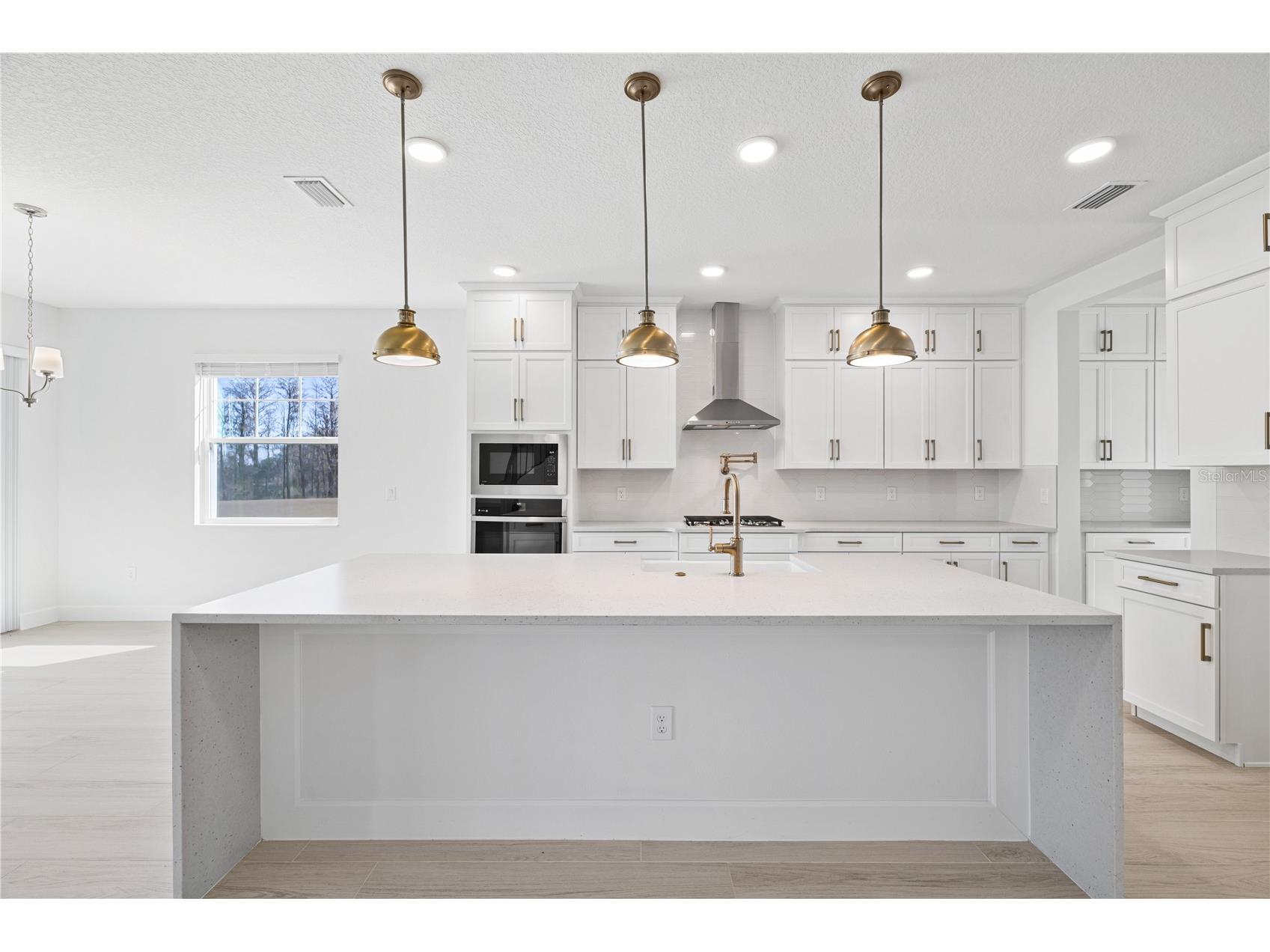 16788 Muskgrass Drive Winter Garden FL 34787 O6388174 image13