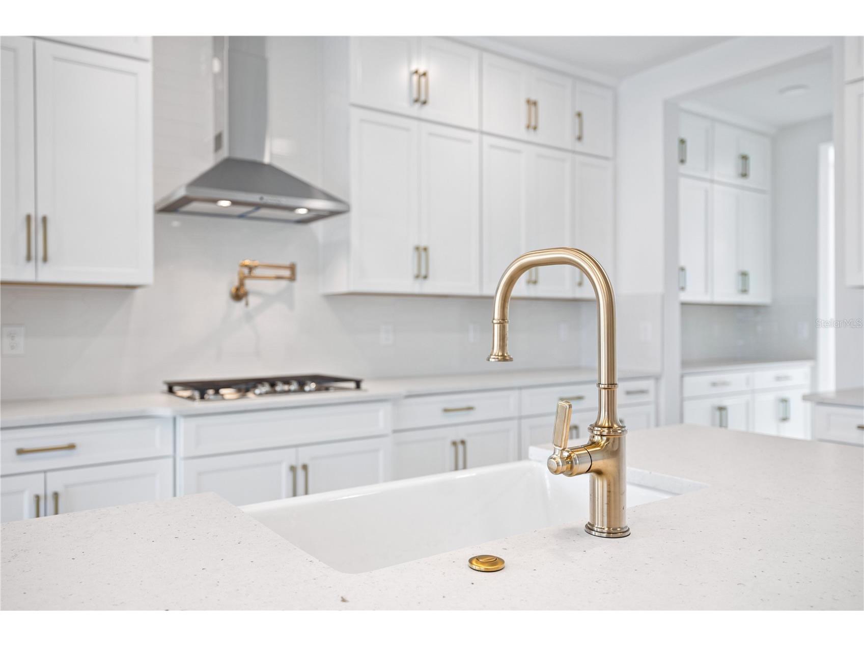 16788 Muskgrass Drive Winter Garden FL 34787 O6388174 image15