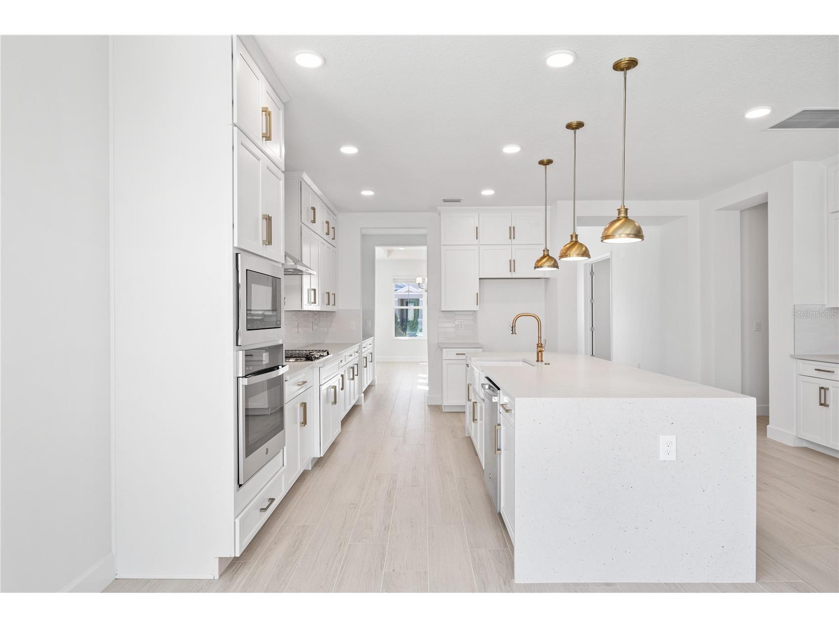 16788 Muskgrass Drive Winter Garden FL 34787 O6388174 image16