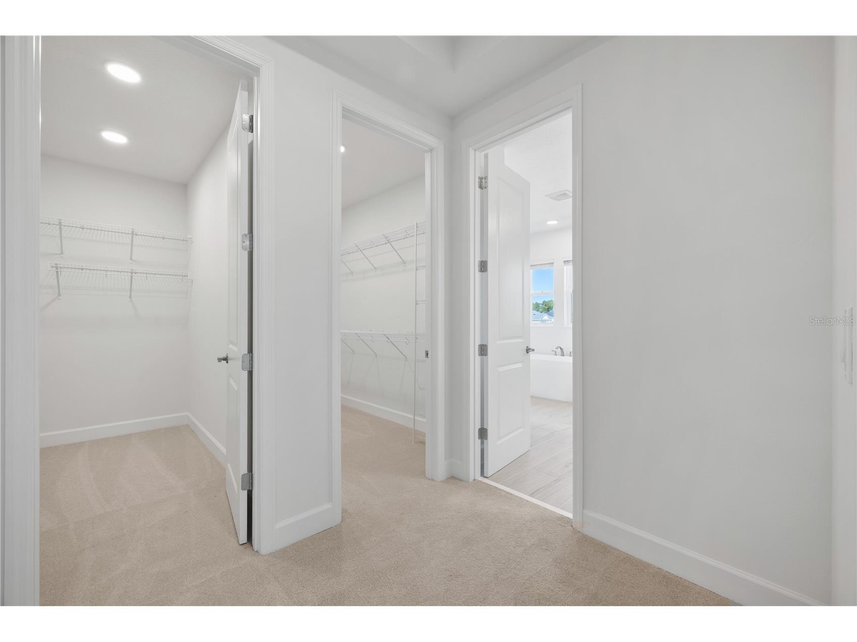 16788 Muskgrass Drive Winter Garden FL 34787 O6388174 image59