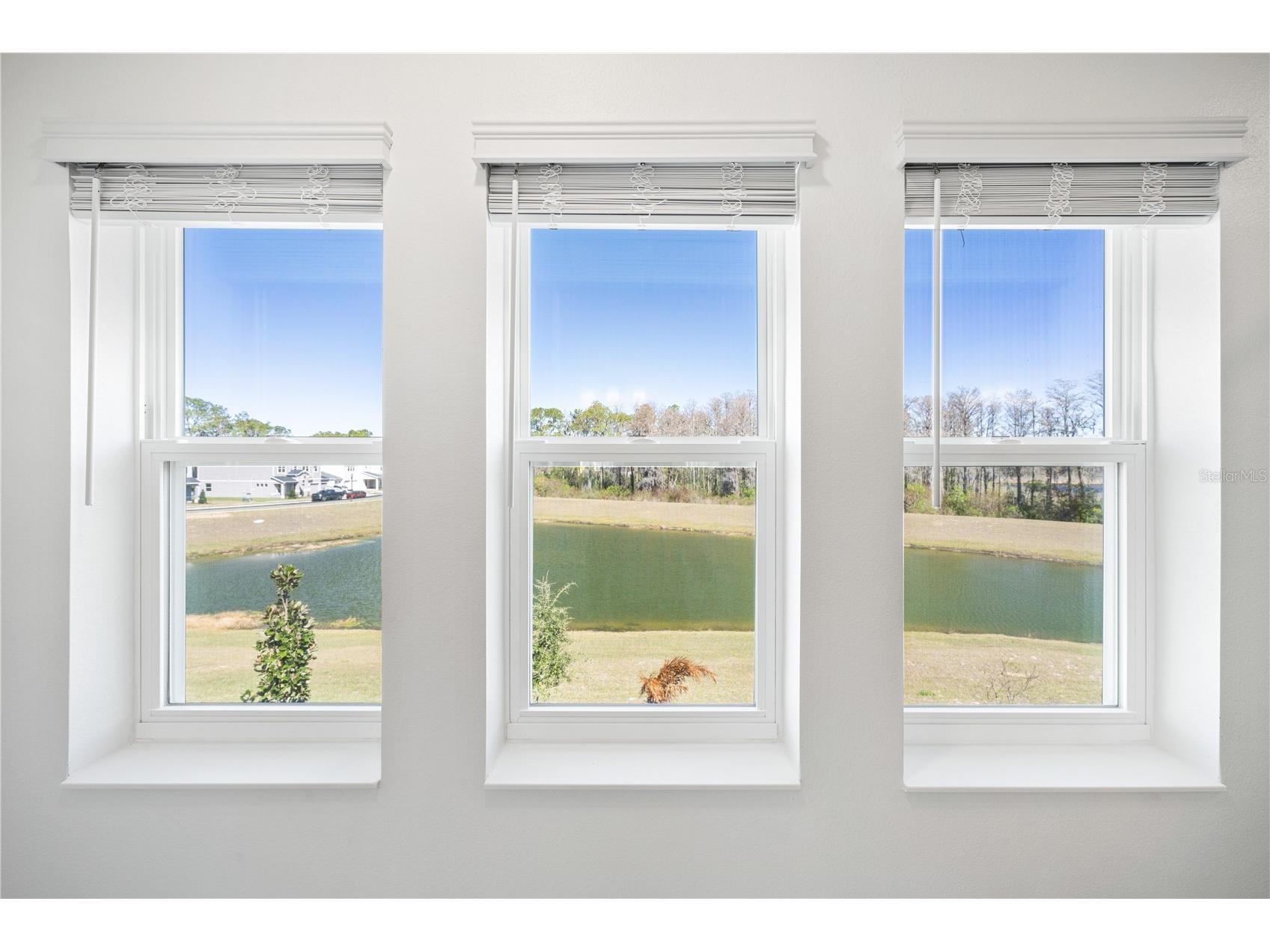 16788 Muskgrass Drive Winter Garden FL 34787 O6388174 image62