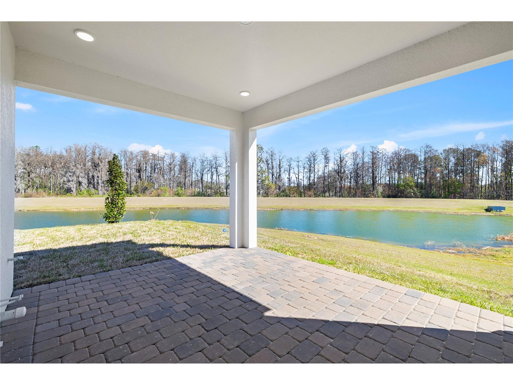 16788 Muskgrass Drive Winter Garden FL 34787 O6388174 image68