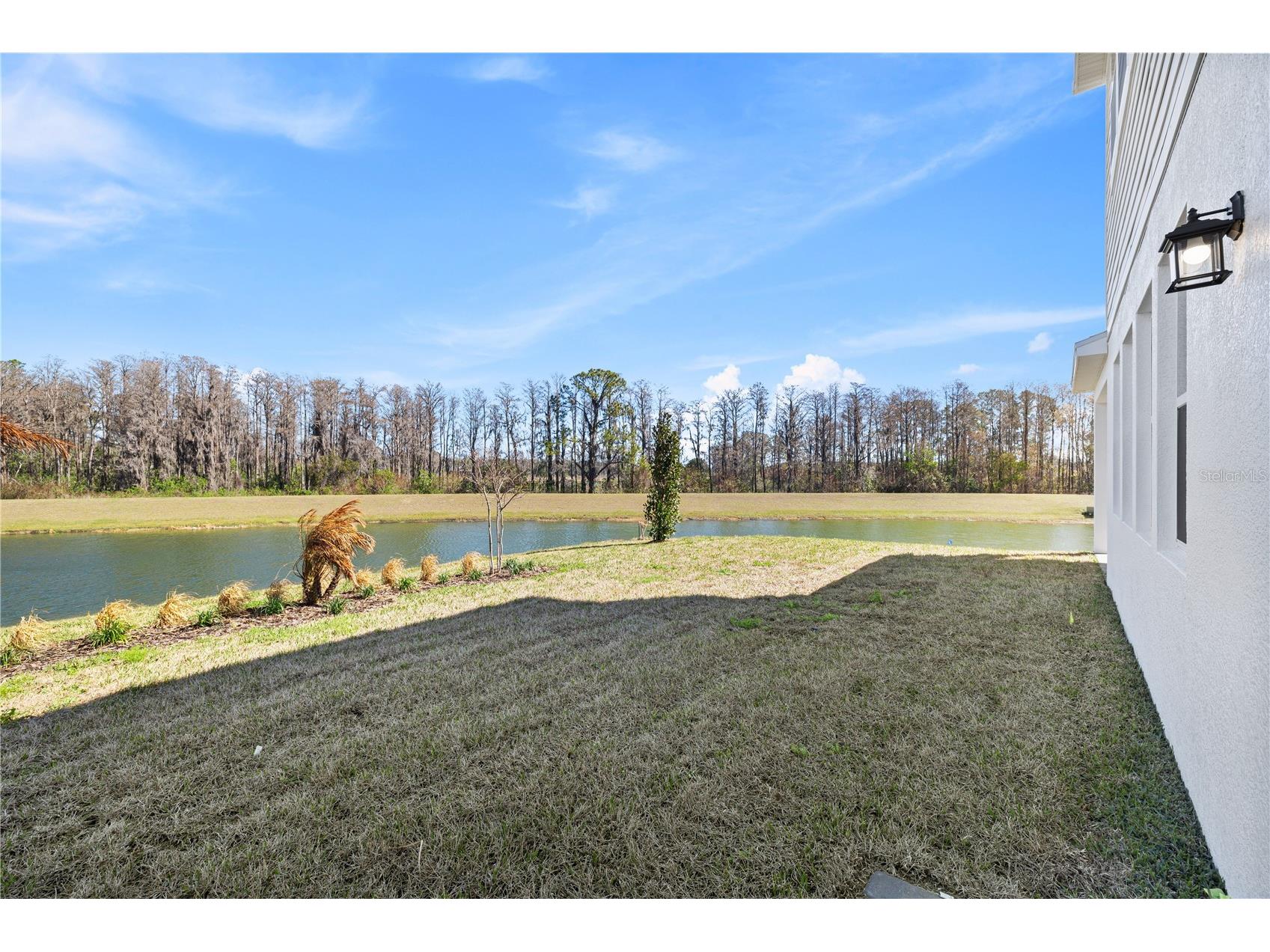 16788 Muskgrass Drive Winter Garden FL 34787 O6388174 image69