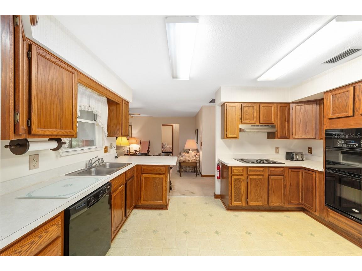 16789 SE 69th Lane Ocklawaha FL 32179 - LAKE MAHAREY LAKE PLACID OM707072 image18