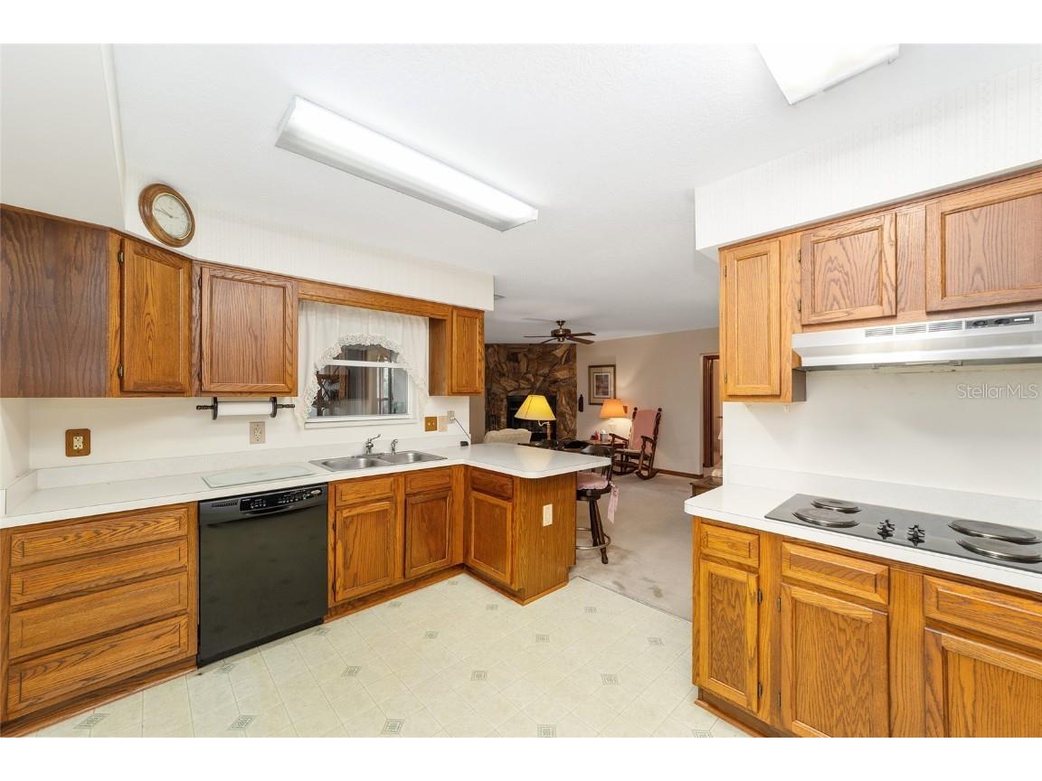 16789 SE 69th Lane Ocklawaha FL 32179 - LAKE MAHAREY LAKE PLACID OM707072 image19