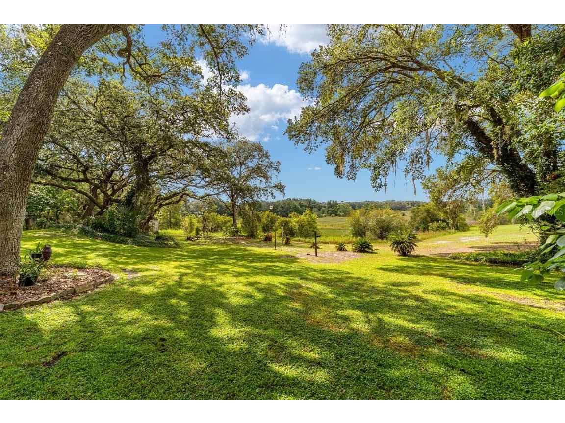 16789 SE 69th Lane Ocklawaha FL 32179 - LAKE MAHAREY LAKE PLACID OM707072 image3