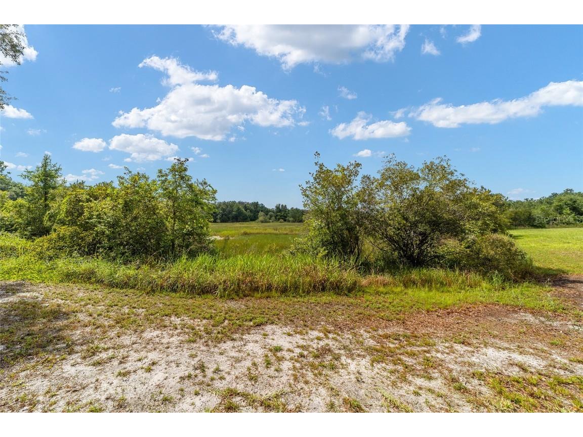 16789 SE 69th Lane Ocklawaha FL 32179 - LAKE MAHAREY LAKE PLACID OM707072 image4