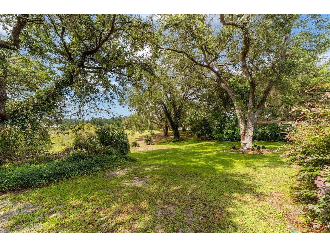 16789 SE 69th Lane Ocklawaha FL 32179 - LAKE MAHAREY LAKE PLACID OM707072 image5