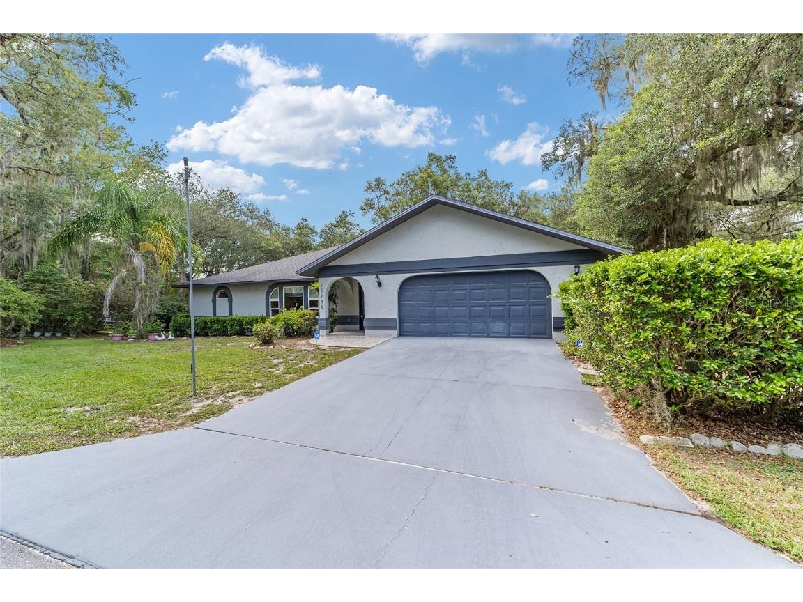 16789 SE 69th Lane Ocklawaha FL 32179 - LAKE MAHAREY LAKE PLACID OM707072 image7