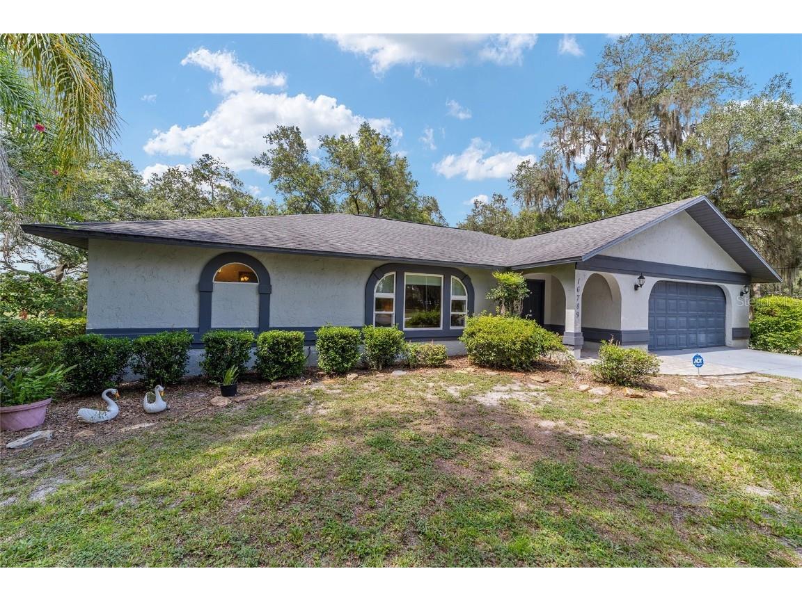 16789 SE 69th Lane Ocklawaha FL 32179 - LAKE MAHAREY LAKE PLACID OM707072 image8