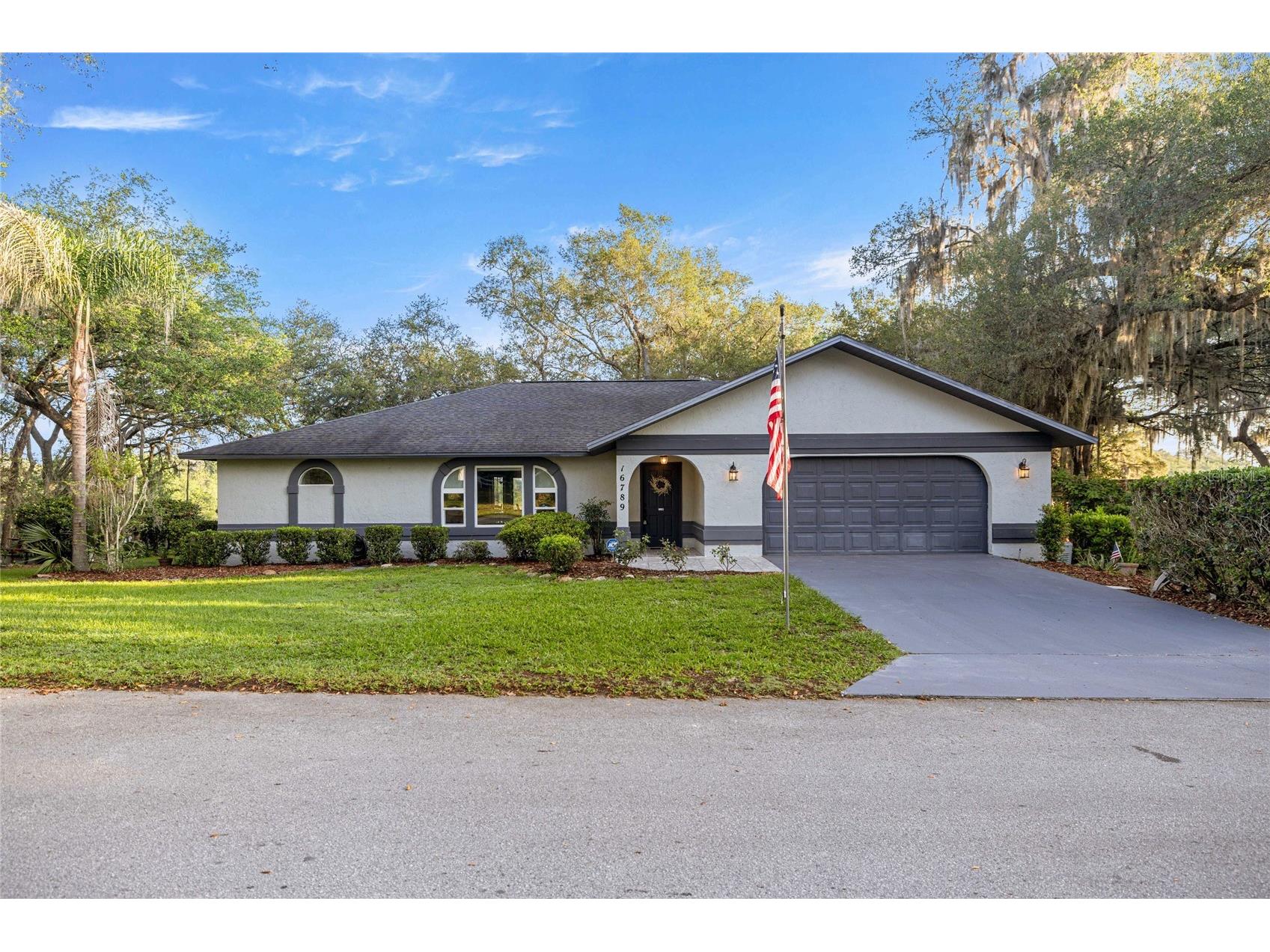16789 SE 69th Lane Ocklawaha FL 32179 - POND OM724864 image2