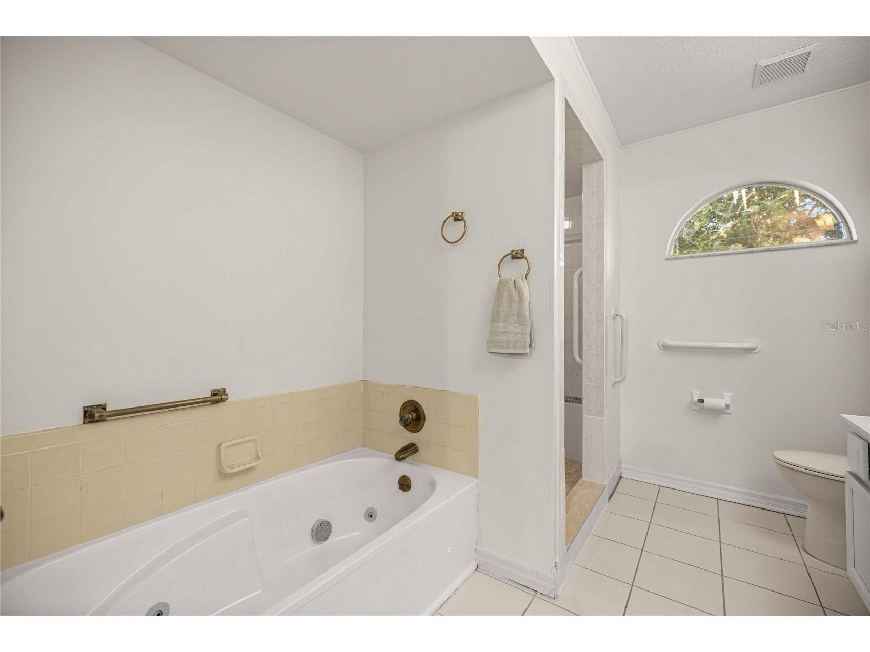 16789 SE 69th Lane Ocklawaha FL 32179 - POND OM724864 image26