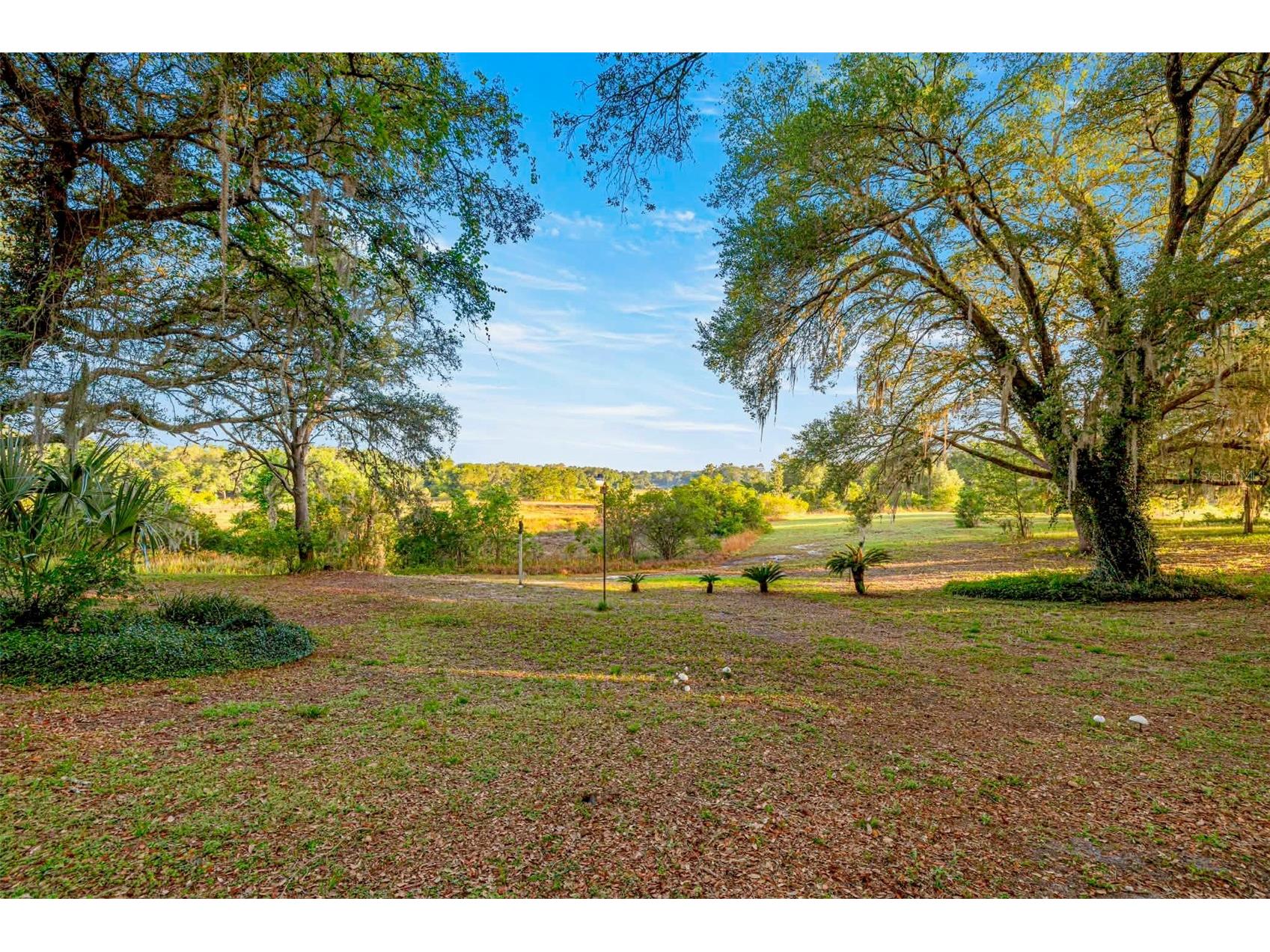 16789 SE 69th Lane Ocklawaha FL 32179 - POND OM724864 image42