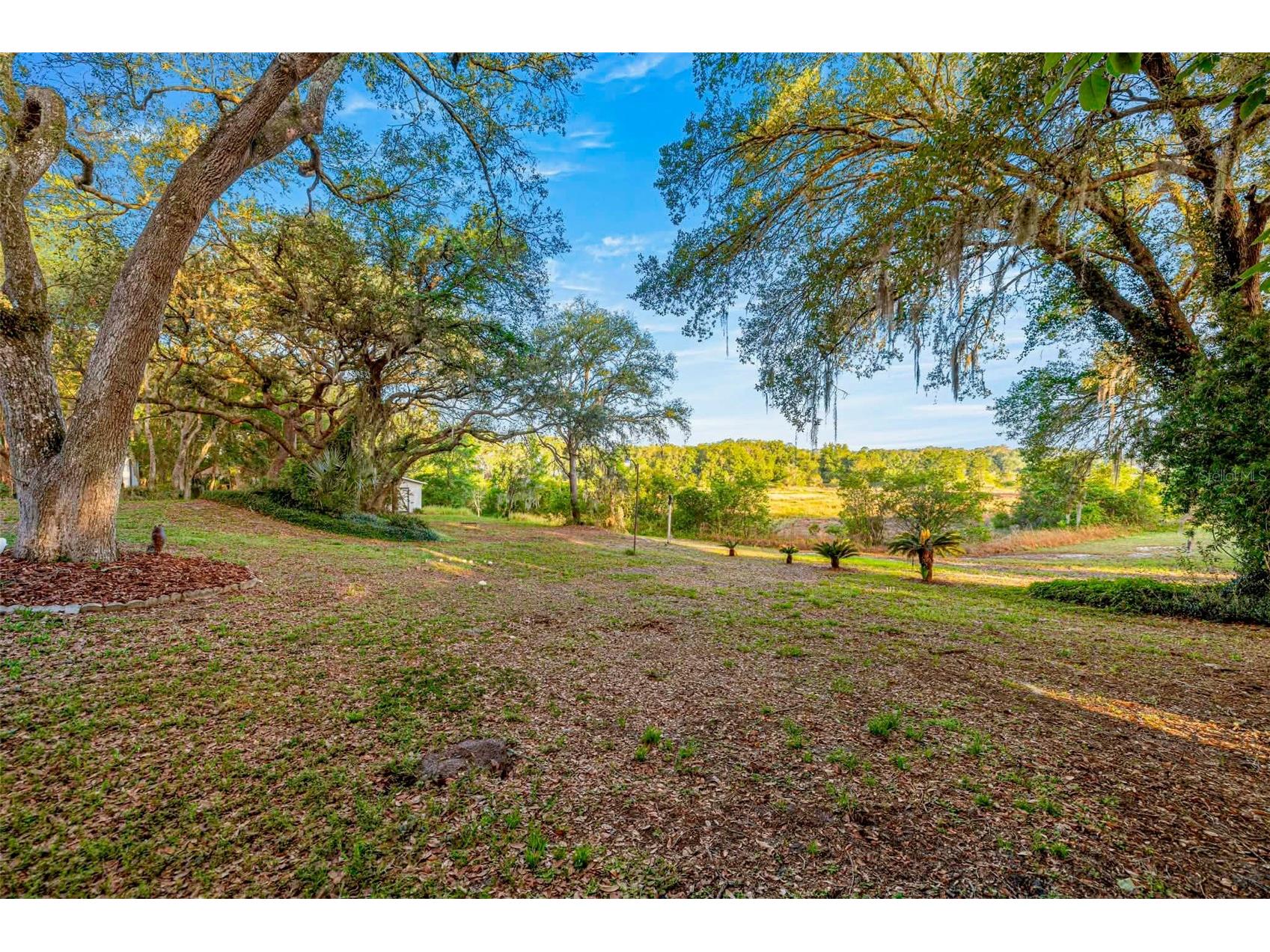 16789 SE 69th Lane Ocklawaha FL 32179 - POND OM724864 image43