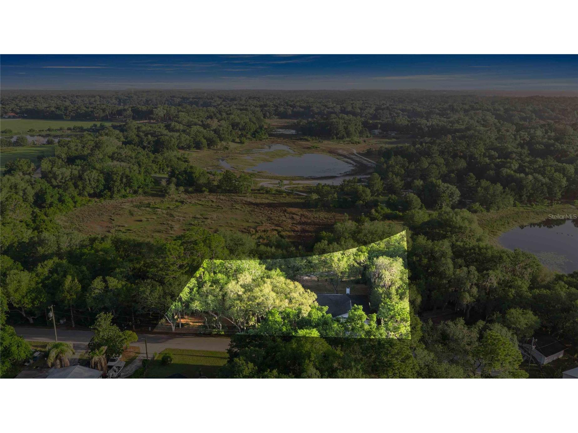 16789 SE 69th Lane Ocklawaha FL 32179 - POND OM724864 image8