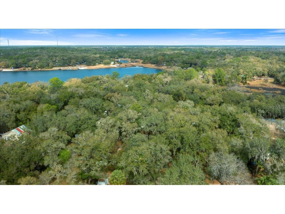 16789 SE 8th Place Silver Springs FL 34488 OM717674 image36