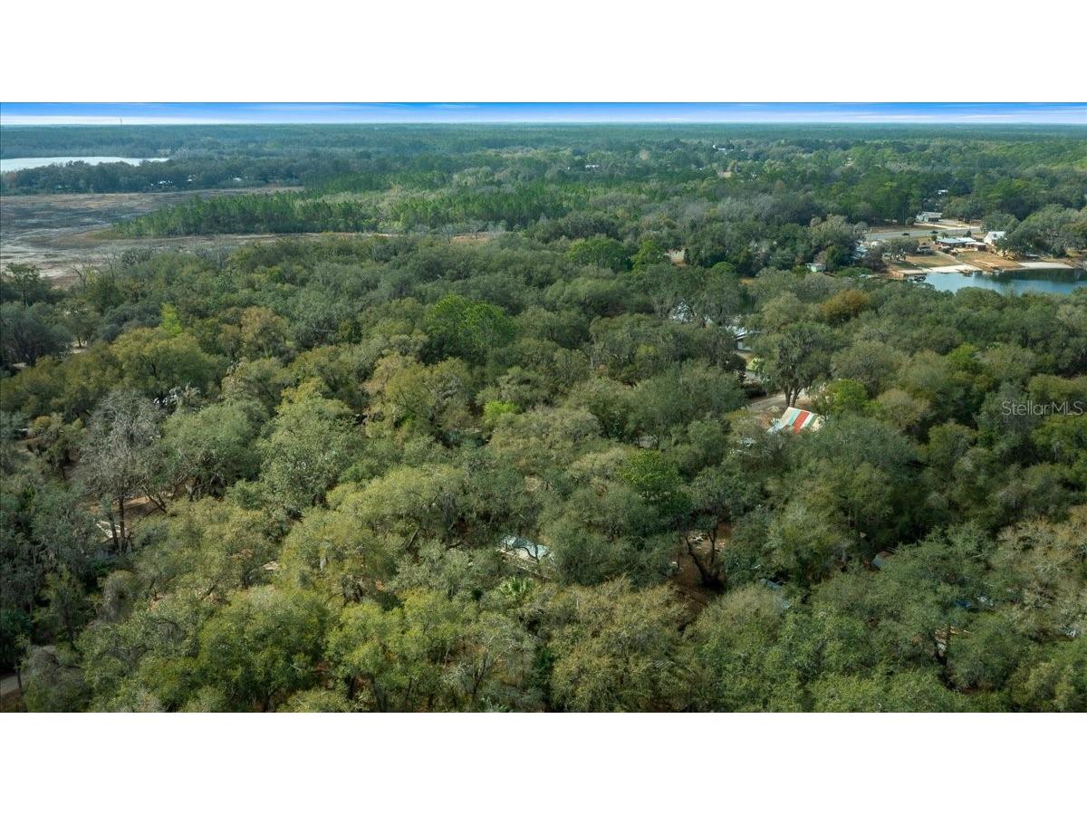 16789 SE 8th Place Silver Springs FL 34488 OM717674 image38