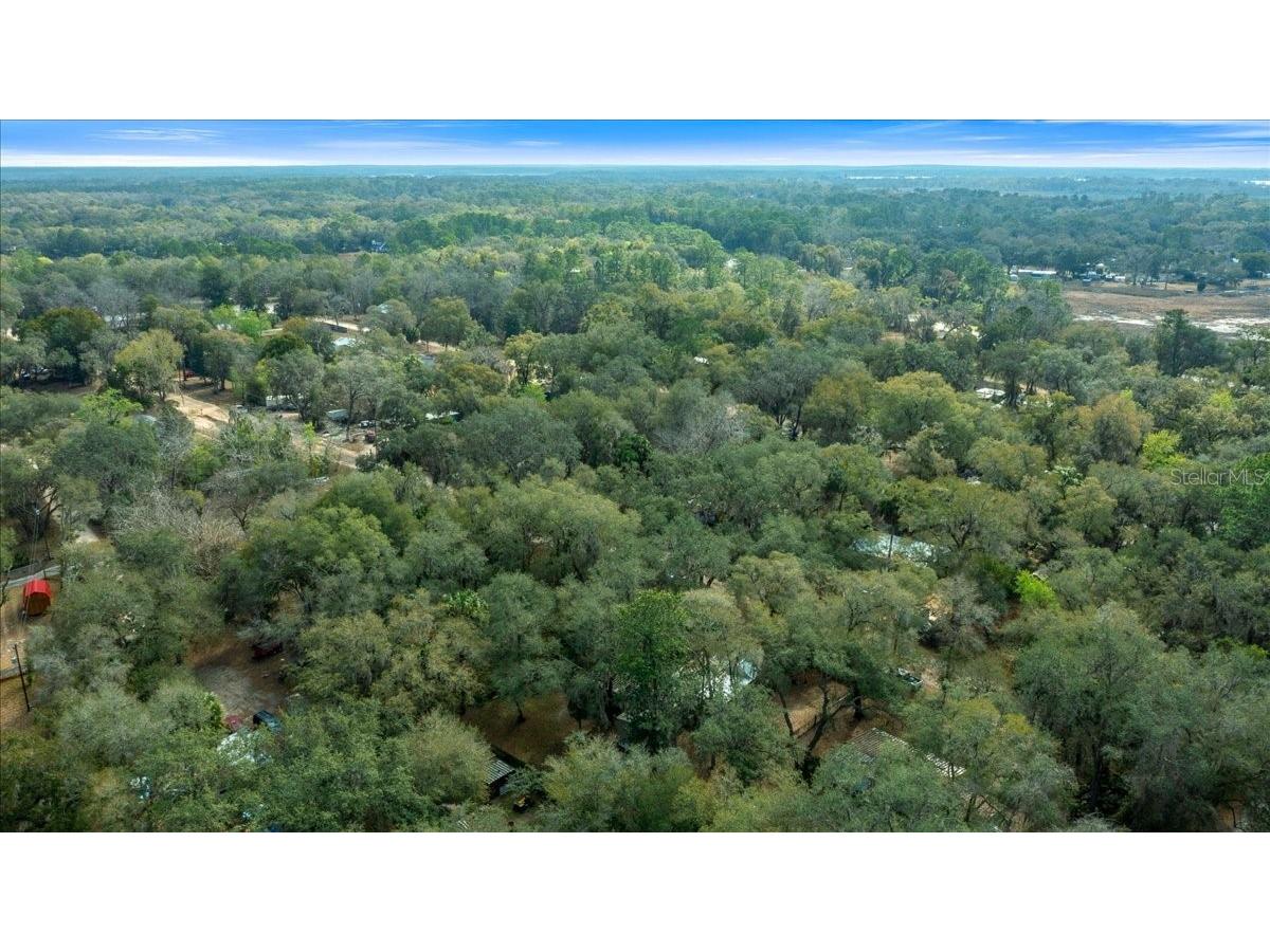 16789 SE 8th Place Silver Springs FL 34488 OM717674 image42