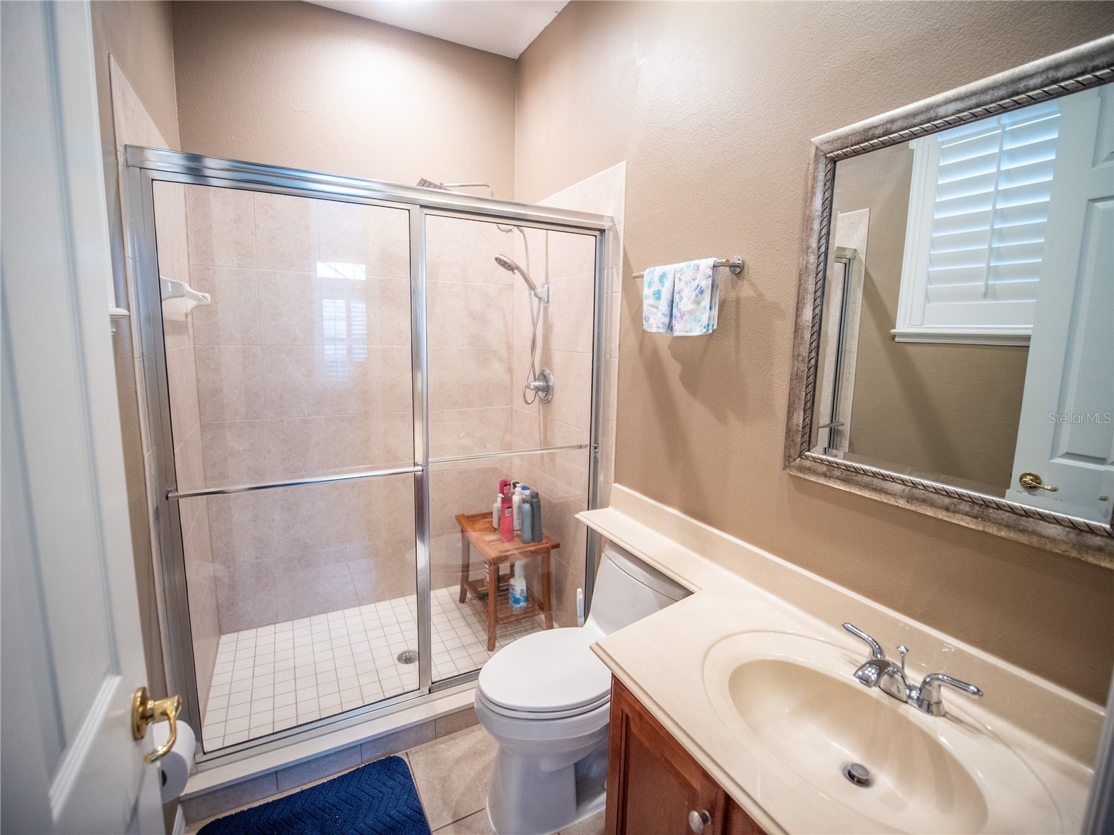 1679 Astor Farms Place Sanford FL 32771 O6382059 image41