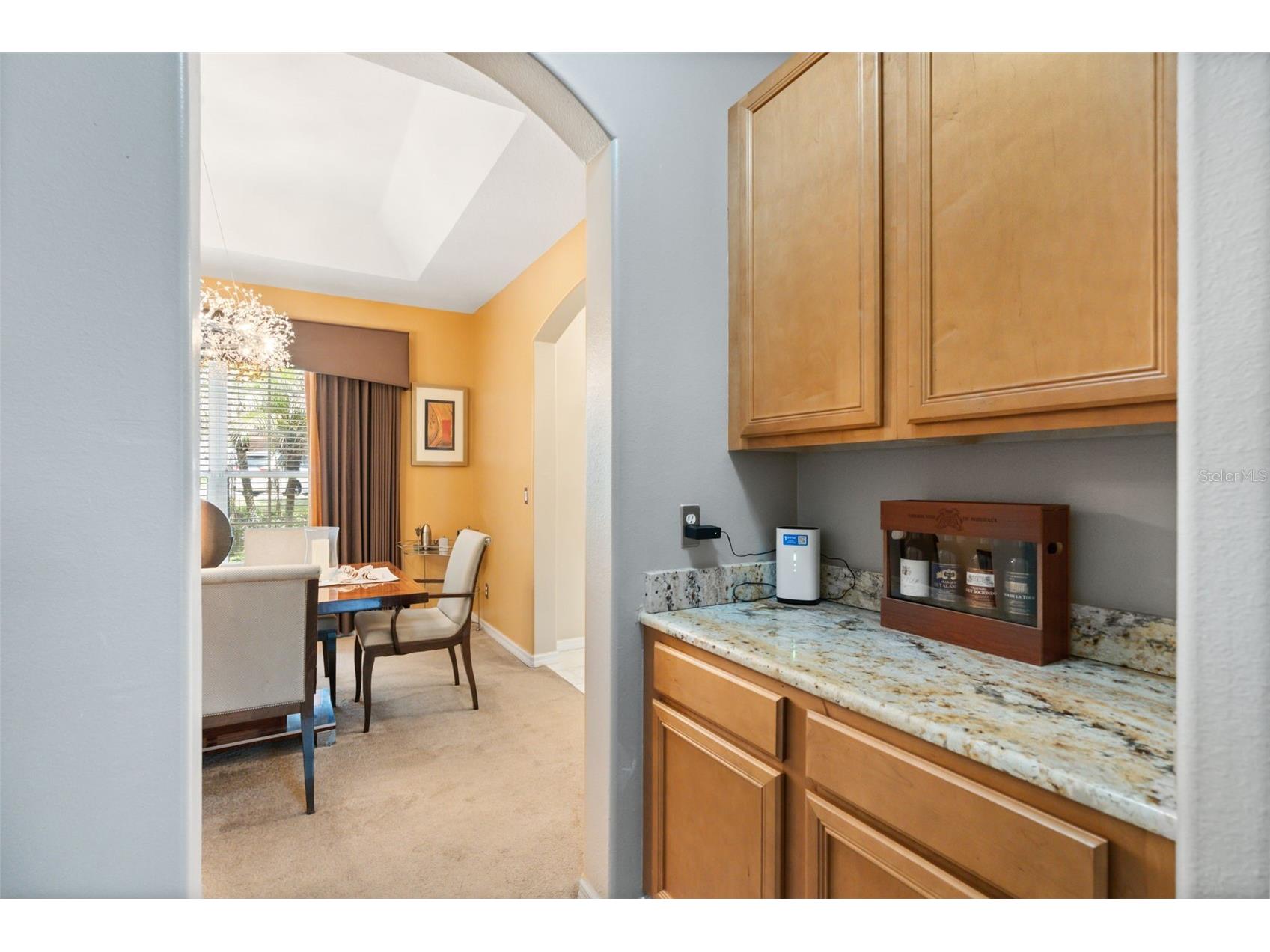 1679 Grandiflora Avenue Clermont FL 34711 S5152019 image23