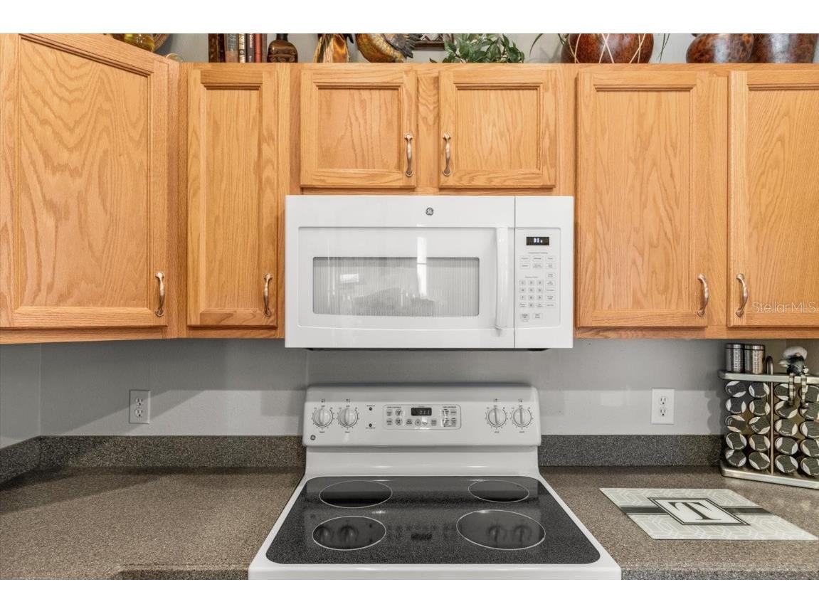 1679 W Spring Meadow Loop Lecanto FL 34461 OM706776 image10